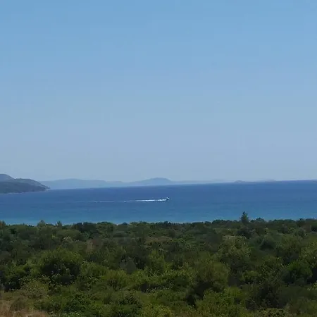 Dzelalija